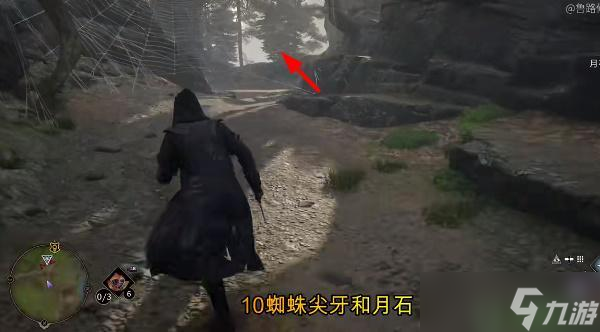 霍格沃茨之遗蜘蛛尖牙在哪