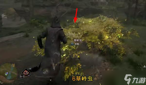 霍格沃茨之遗草蛉虫在哪收集