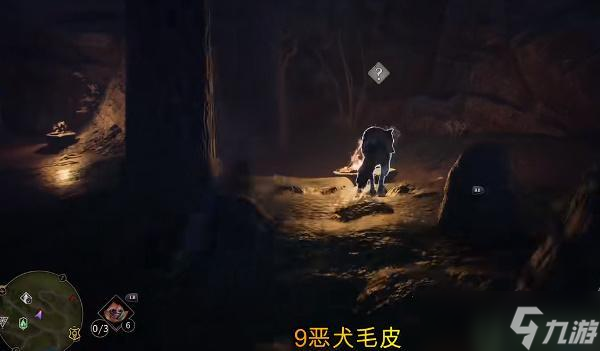 霍格沃茨之遗恶犬毛皮在哪