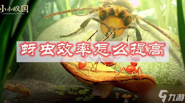 小小蚁国蚜虫效率怎么提高