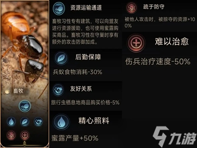 小小蚁国习性选择推荐