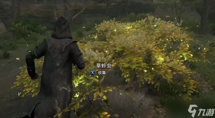 霍格沃茨之遗全植物怎么获得