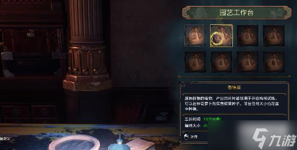 霍格沃茨之遺香錦葵怎么獲得