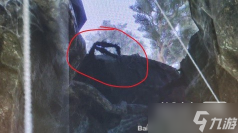 《霍格沃茨之遗》支线逃贼卡蜘蛛方法攻略