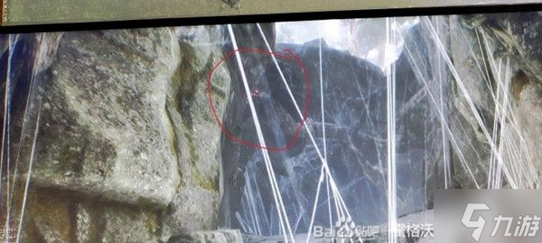 霍格沃茨之遗卡蜘蛛攻略 支线逃贼怎么卡蜘蛛