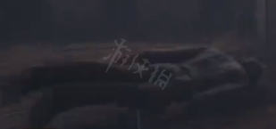 《霍格沃茨之遗》统统石化怎么解锁？统统石化解锁方法