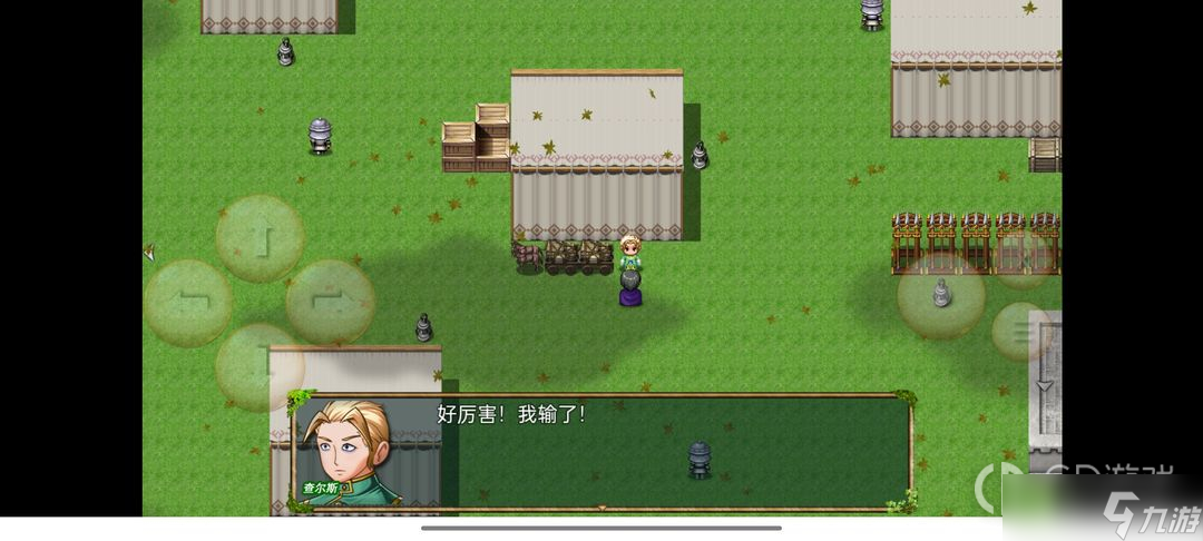 《终境传说》各城队友攻略