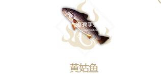 妄想山海黃姑魚屬性介紹