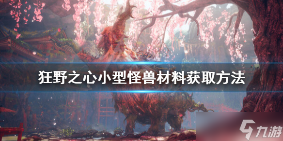 《狂野之心》小型怪物材料怎么获得？小型怪兽材料获取方法