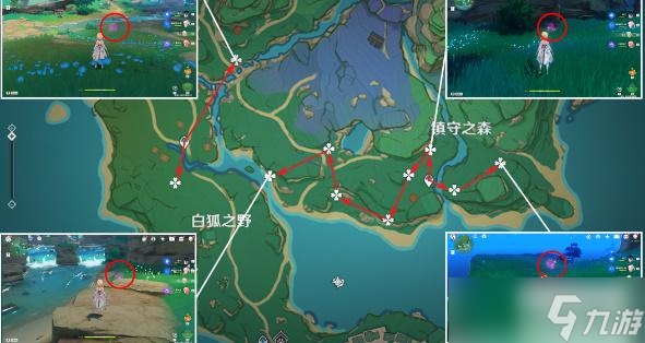 原神绯樱绣球收集路线