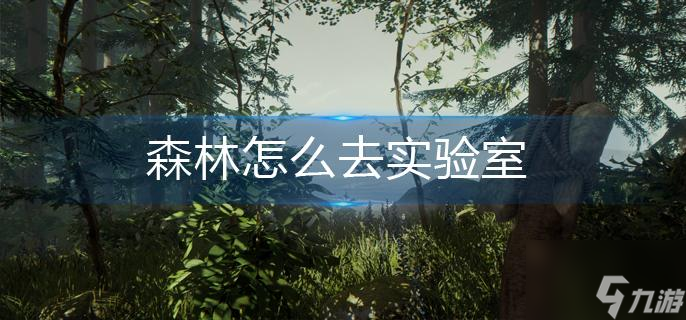 森林怎么去实验室