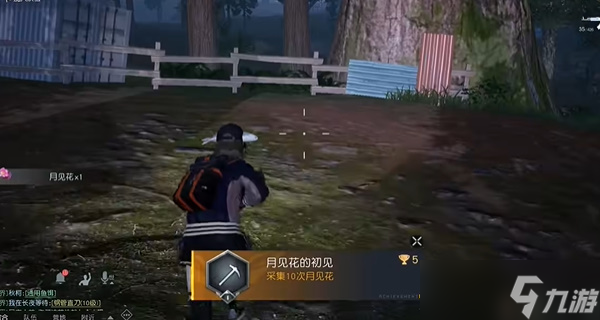黎明觉醒月见花哪里采
