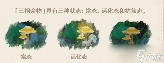 原神森林书全解密攻略大全