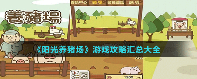 《阳光养猪场》游戏攻略汇总大全截图