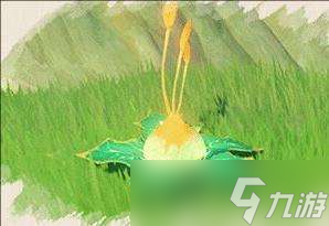 原神森林书全解密攻略大全