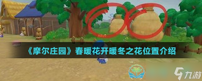 《摩尔庄园》春暖花开暖冬之花位置介绍