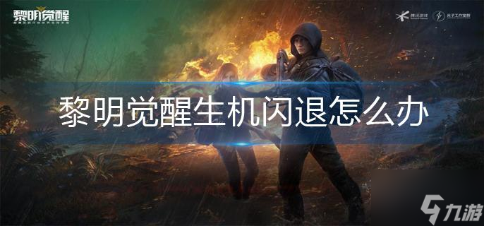 黎明觉醒生机闪退怎么办