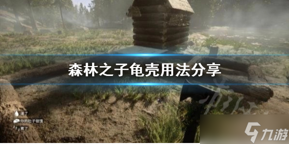 《森林之子》龜殼用法分享 龜殼有什么用 