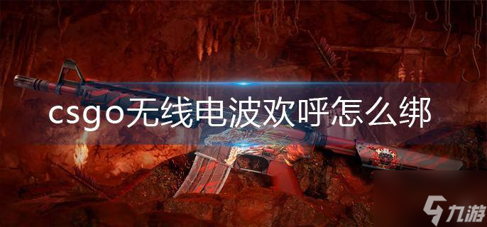 csgo无线电波欢呼怎么绑