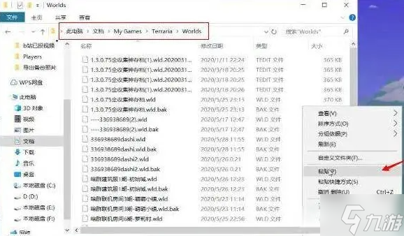 泰拉瑞亚怎么导入存档-手动导入存档方法