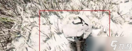 森林之子霰弹枪位置介绍