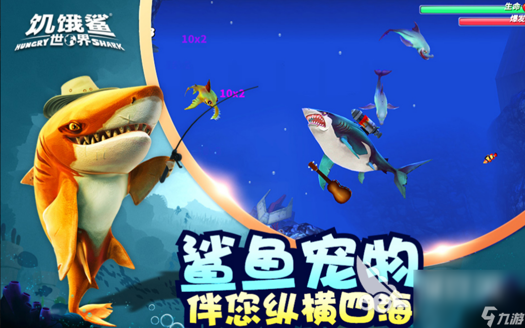 有趣的鯊魚游戲排行榜 有鯊魚的手游前5名推薦2023