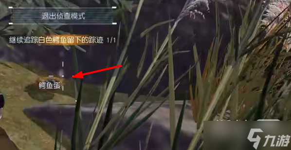 《黎明觉醒》白鳄女王在哪里攻略