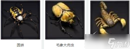 小小蚁国野外生物介绍