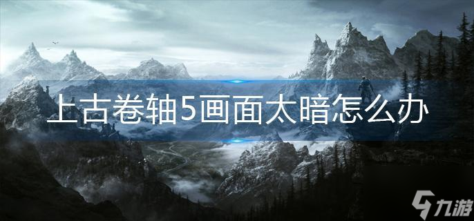 上古卷轴5画面太暗怎么办