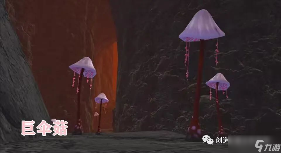 创造与魔法菇灵荆怪宠物获取攻略