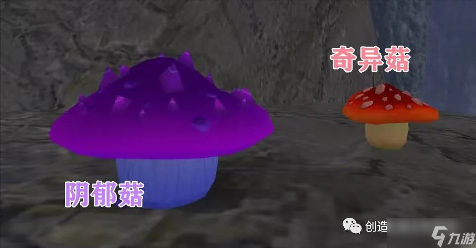 创造与魔法菇灵荆怪宠物获取攻略