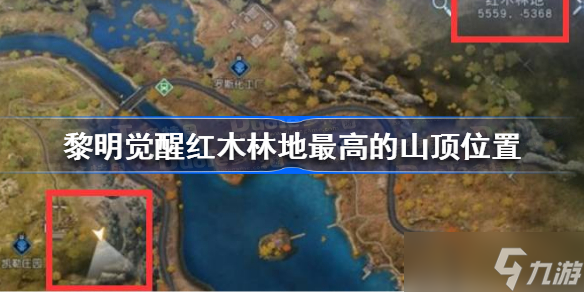 《黎明觉醒》红木林地最高的山顶在哪里 黎明觉醒红木林地最高的山顶位置