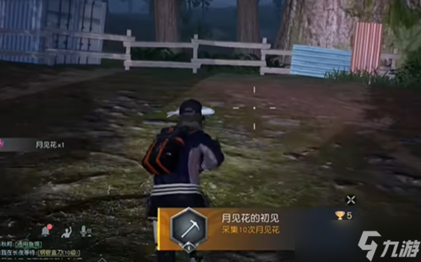黎明覺醒月見花哪里采