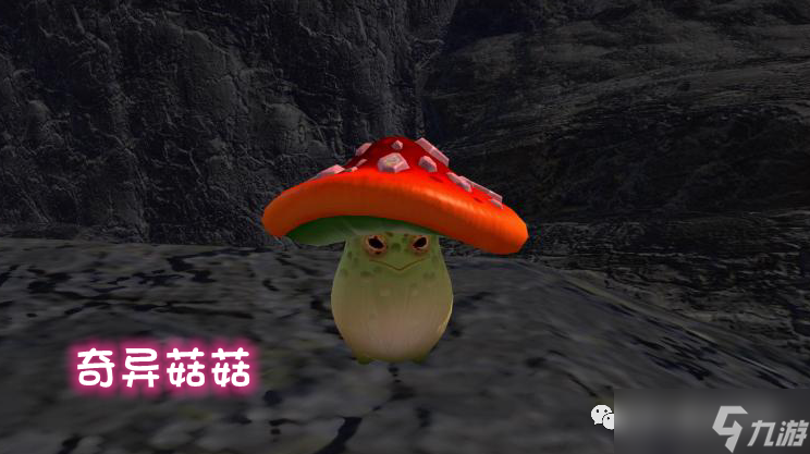 创造与魔法菇灵荆怪宠物获取攻略