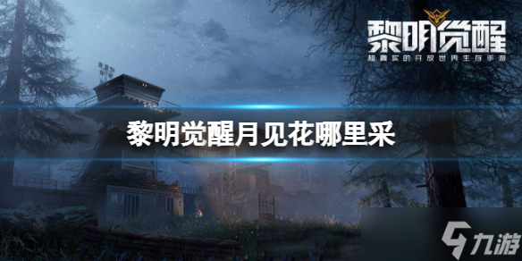 《黎明觉醒》月见花在哪