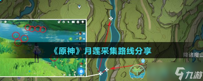 《原神》月莲采集路线分享