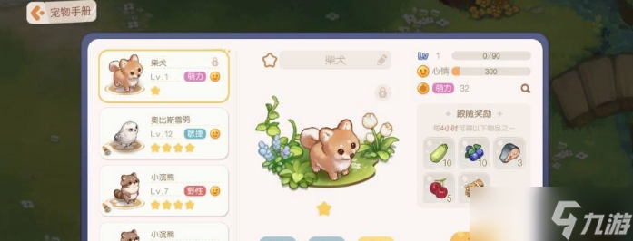 奥比岛梦想国度柴犬怎么获得