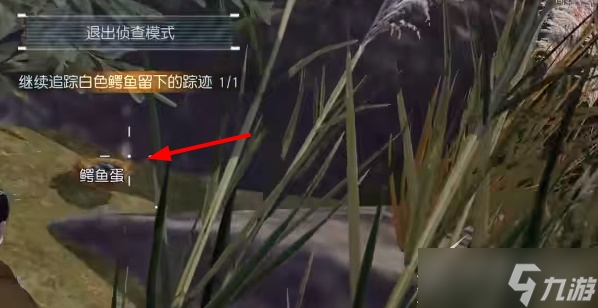 《黎明觉醒》白鳄女王在哪里攻略