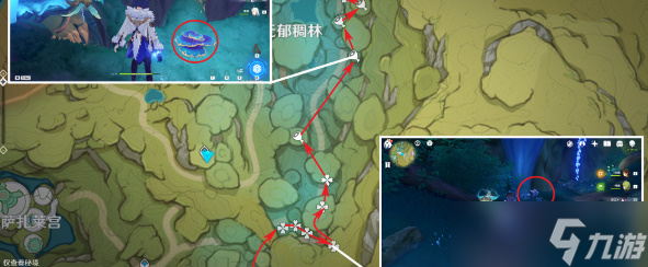 原神树王圣体菇采集路线