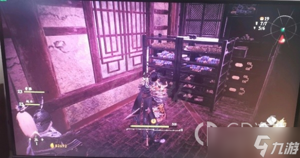 《卧龙苍天陨落》蛇精二楼旗子位置介绍
