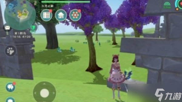 创造与魔法夕阳花位置和刷新时间一览