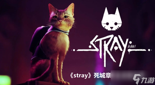 stray死城章节全流程分享