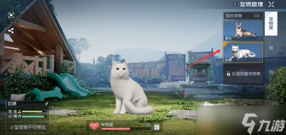 《黎明觉醒生机》怎么带猫出门