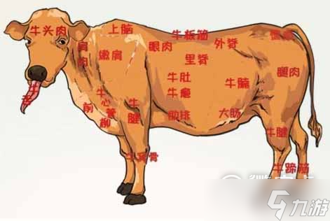 《全民汉字王》浑身都是宝通关攻略一览
