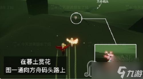 《光遇》花憩节赏花位置攻略2023