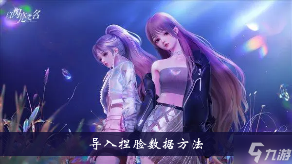 《以闪亮之名》导入捏脸数据方法