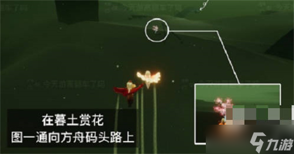 《光遇》2023花憩节赏花位置一览