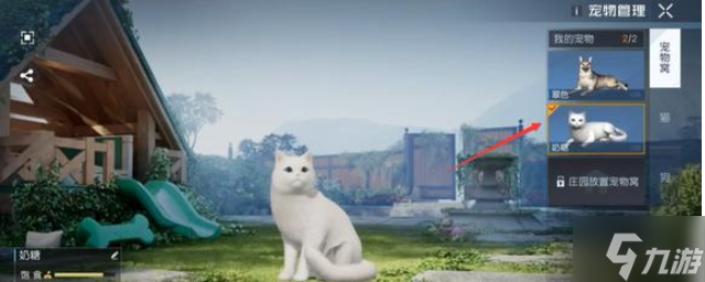 问 黎明觉醒猫猫带出门方法