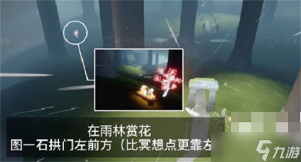 《光遇》2023花憩节赏花位置一览