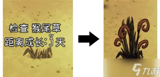 饥荒月亮码头的诅咒新植物一览